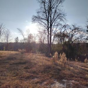 Photo #4 of 2211 Bottom, Chester, SC