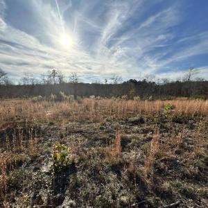 Photo #2 of 2211 Bottom, Chester, SC