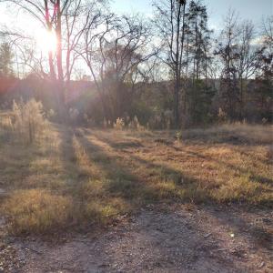 Photo #5 of 2211 Bottom, Chester, SC