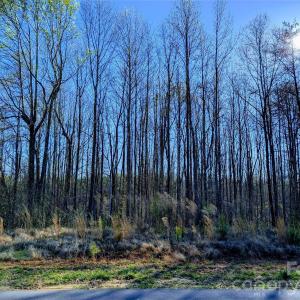 Photo #4 of 4255 Brandy Creek, Clover, SC