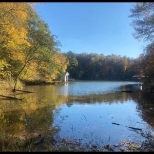 Photo #7 of 4151 Concord, York, SC