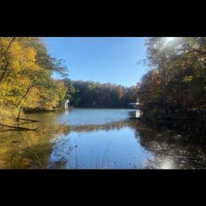 Photo #8 of 4151 Concord, York, SC