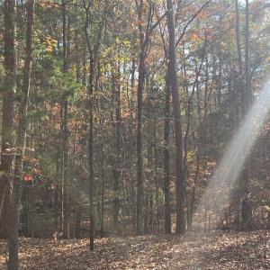 Photo #3 of 4151 Concord, York, SC