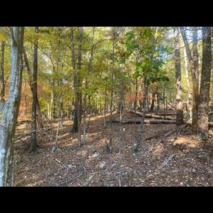 Photo #9 of 4151 Concord, York, SC