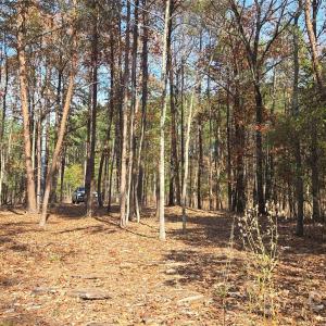 Photo #3 of 4151 Concord, York, SC