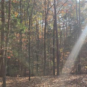 Photo #4 of 4151 Concord, York, SC