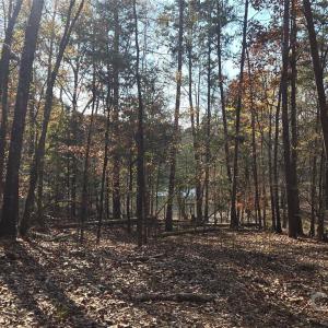 Photo #2 of 4151 Concord, York, SC