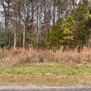 Photo #3 of Ray Lee, Norwood, NC