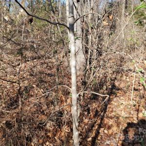 Photo #17 of 5125 Longbrooke, Indian Land, SC