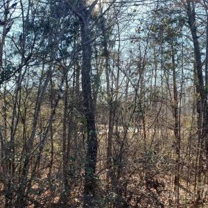 Photo #16 of 5125 Longbrooke, Indian Land, SC