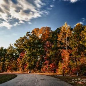 Photo #9 of 5125 Longbrooke, Indian Land, SC