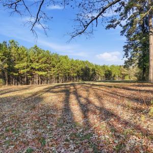 Photo #6 of Fincher, Matthews, NC