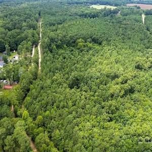 Photo #4 of Jasper, Summerton, SC