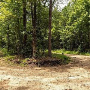 Photo #5 of Jasper, Summerton, SC