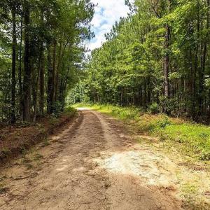 Photo #6 of Jasper, Summerton, SC