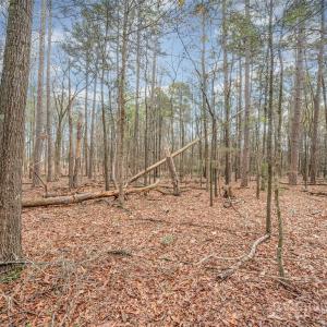 Photo #22 of Simpson, Monroe, NC