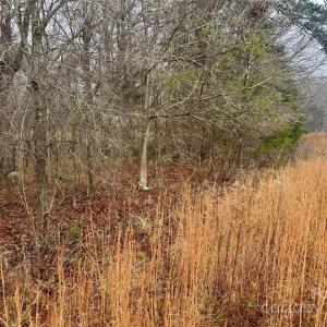 Photo #2 of Lot 1B Mallory, Mount Pleasant, NC