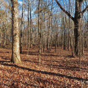 Photo #28 of 5620 Stack, Monroe, NC