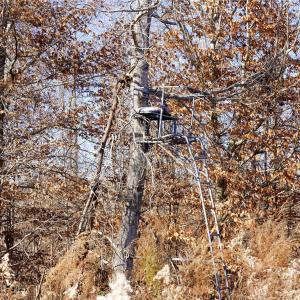 Photo #19 of 522 Whitworth, Clover, SC