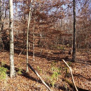 Photo #6 of 522 Whitworth, Clover, SC