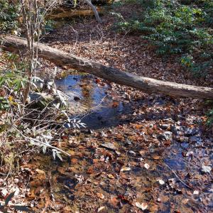 Photo #8 of 522 Whitworth, Clover, SC