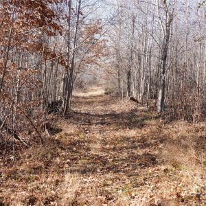 Photo #11 of 522 Whitworth, Clover, SC