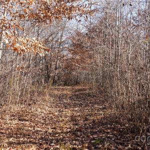 Photo #4 of 522 Whitworth, Clover, SC