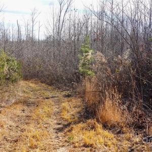 Photo #14 of 522 Whitworth, Clover, SC