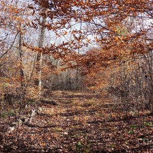 Photo #3 of 522 Whitworth, Clover, SC