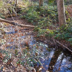 Photo #9 of 522 Whitworth, Clover, SC