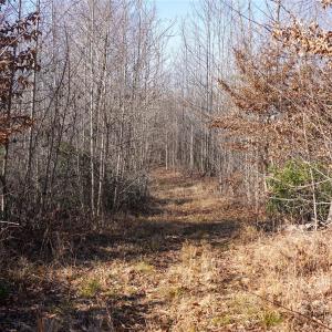 Photo #12 of 522 Whitworth, Clover, SC