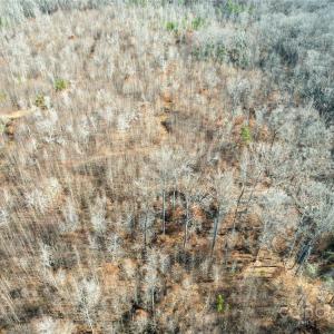 Photo #34 of 522 Whitworth, Clover, SC