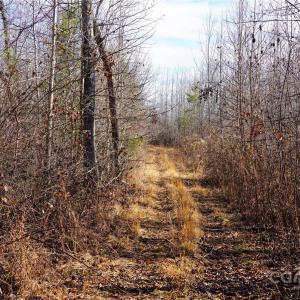 Photo #16 of 522 Whitworth, Clover, SC
