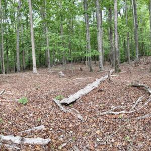 Photo #30 of 8277 Lockhart, Sharon, SC