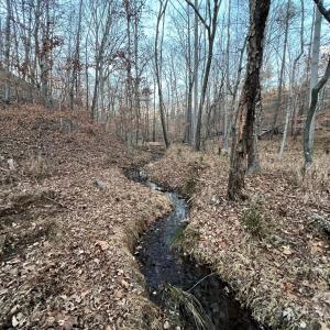 Photo #27 of 8277 Lockhart, Sharon, SC