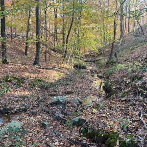 Photo #24 of 8277 Lockhart, Sharon, SC