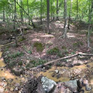 Photo #22 of 8277 Lockhart, Sharon, SC