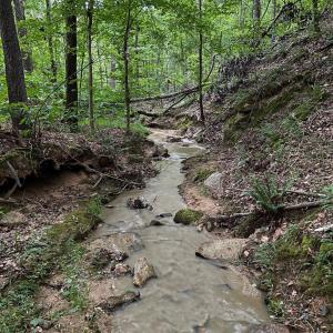 Photo #23 of 8277 Lockhart, Sharon, SC