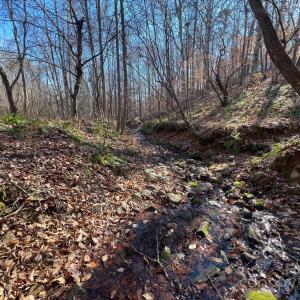 Photo #25 of 8277 Lockhart, Sharon, SC