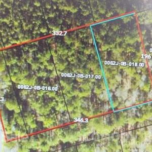 Photo #5 of Lynn, Lancaster, SC