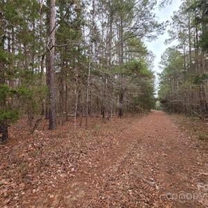 Photo #1 of Lynn, Lancaster, SC