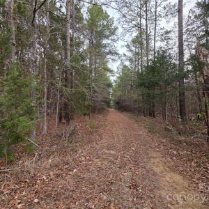 Photo #4 of Lynn, Lancaster, SC