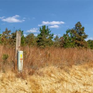 Photo #17 of Riley, Chesterfield, SC