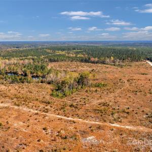 Photo #1 of Riley, Chesterfield, SC