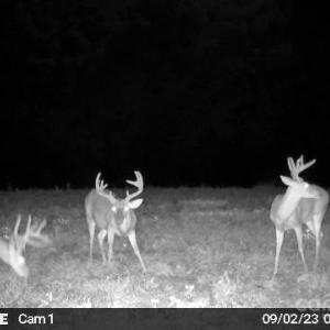 Photo #27 of Hasty, Marshville, NC