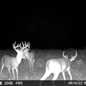 Photo #30 of Hasty, Marshville, NC