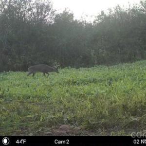 Photo #32 of Hasty, Marshville, NC