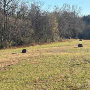 Photo #7 of Hasty, Marshville, NC