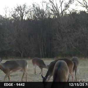 Photo #25 of Hasty, Marshville, NC