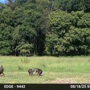 Photo #24 of Hasty, Marshville, NC